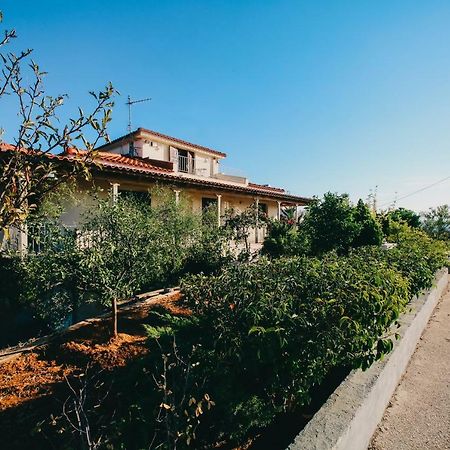 Villa Oneirama Nafplio Luaran gambar